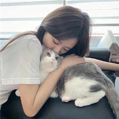 饿狼传：孤狼之道